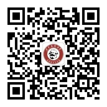 相关文章